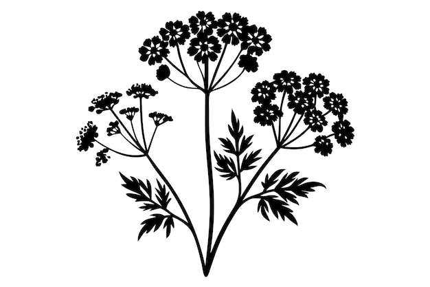 Vector yarrow silhouette vector illustration on black and white