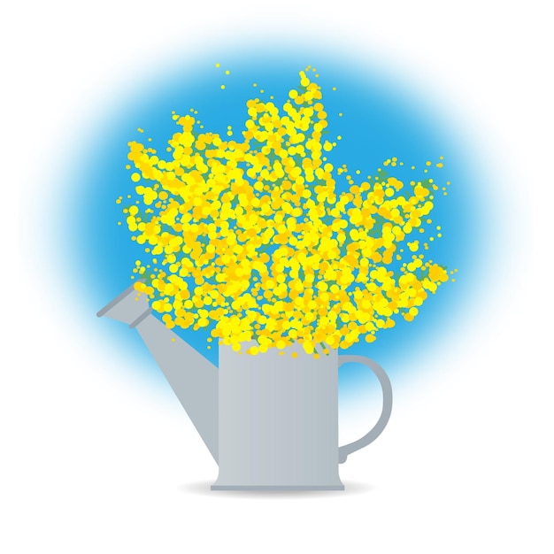 Yellow abstract mimosa branch in a watering can. The symbol of spring is highlighted on a white