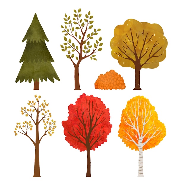 Yellow autumn trees. Colorful garden tree, autumnal garden bush and fall season tree leaves.