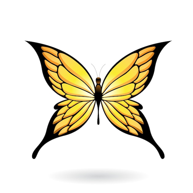 Yellow and Black Butterfly Illustration with Pointed Wings