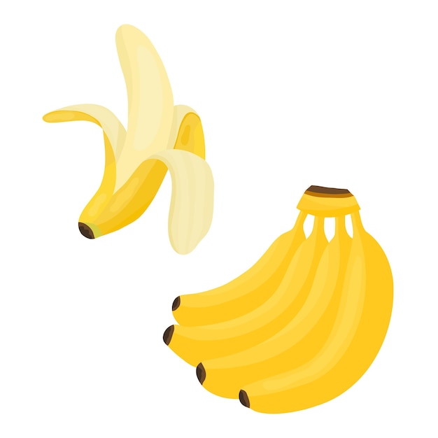 Yellow cartoon ripe bunch of four bananas with shadows and peeled banana Sweet exotic food in a cut for healthy food on isolated background