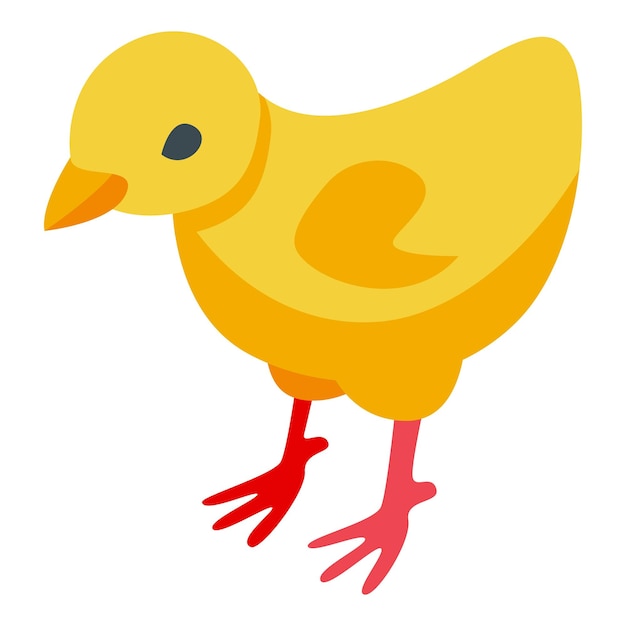 Yellow chick icon isometric vector Farming industry