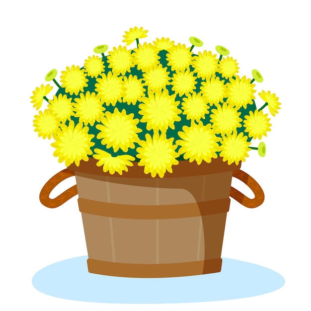 Yellow chrysanthemums in a wooden basket Autumn flowers in a flowerpot