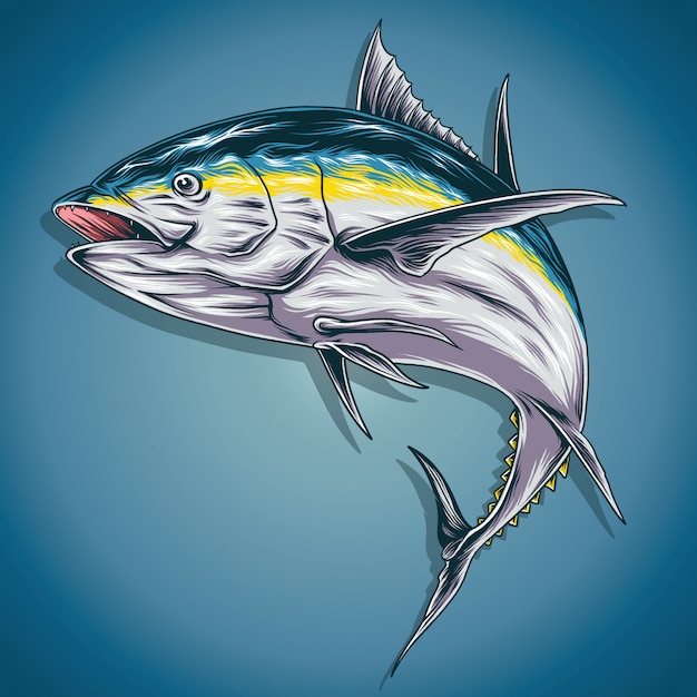 Yellow fish tuna  illustration