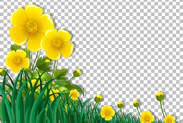 Yellow flower field frame template on transparent background