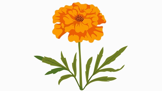 Vector a yellow flower with green leaves on a white background