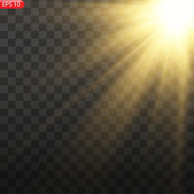 Yellow glowing light explodes on a transparent background. Sparkling magical dust particles. Bright