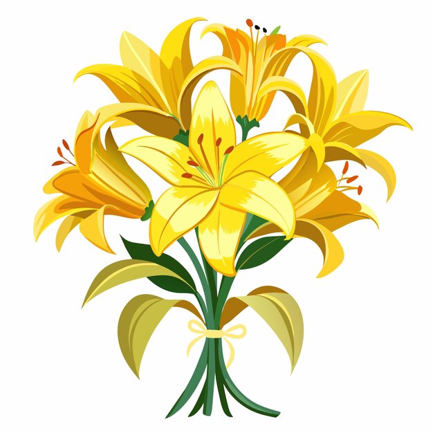 Vector yellow lily bouquet isolated on white background