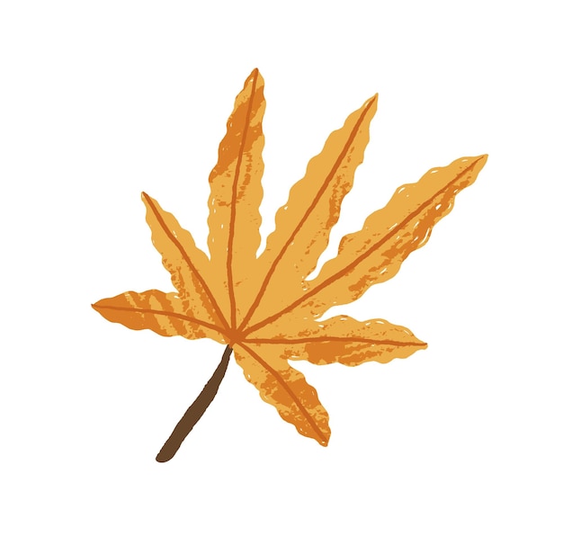 Yellow maple leaf. Autumn leaves for decoration. Decorative fall foliage plant. Autumnal design element. Flat vector illustration of leafage isolated on white background