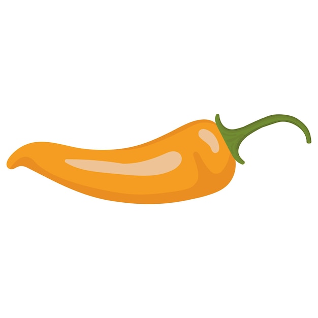 Yellow pepper Vector image of an pepper Hot pepper