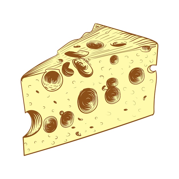 Yellow piece of cheese on white background