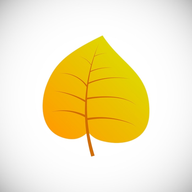 Yellow poplar leaf. Autumn leaf of a tree on a white background. Vector illustration