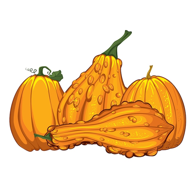 yellow pumpkins