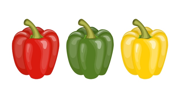 Yellow red and green pepper