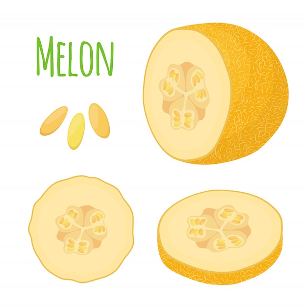 Yellow ripe melon, fresh fruit