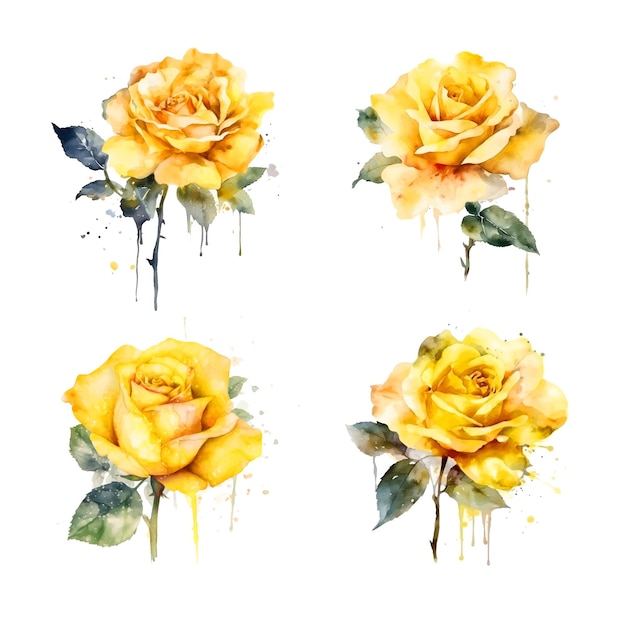 Yellow Rose watercolor paint collection