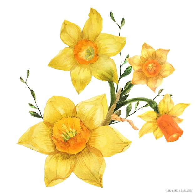 Yellow spring floral bouquet with daffodil flowers