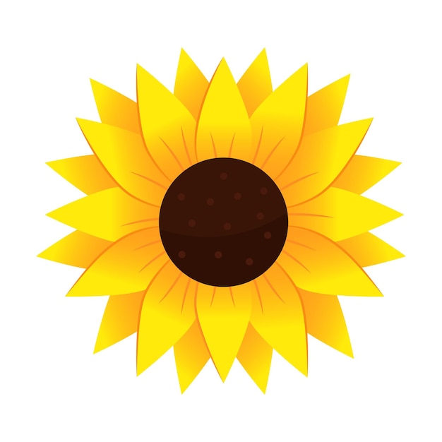 Yellow sunflower in cartoon style Vector illustration isolated on white background