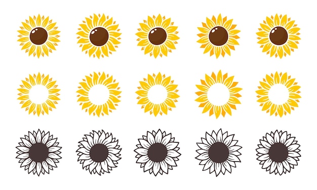 Yellow sunflowers bloom in spring for decorating welcome sign