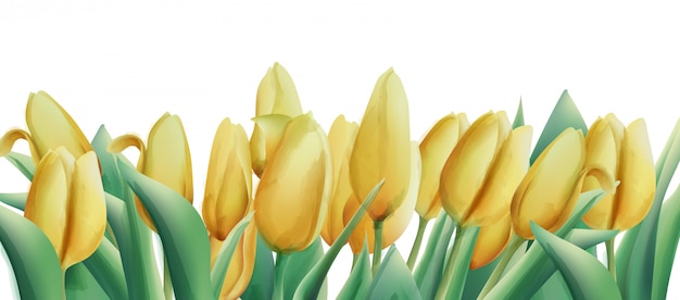 Yellow watercolor tulip flowers with green leaves.