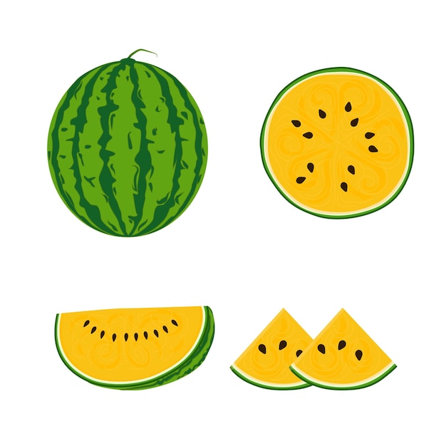 Yellow Watermelon Vector