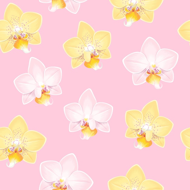 Yellow and white orchids vector seamless pattern