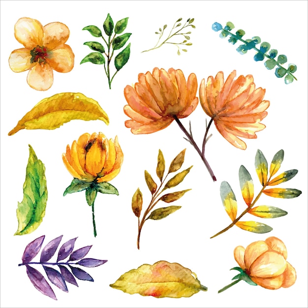 Yellowish set watercolor with various flower and leaves