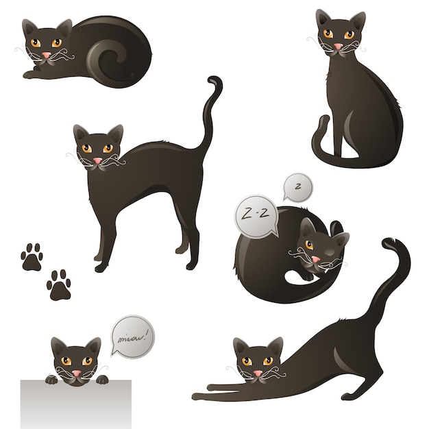 Yeloow eyed black cat in 6 poses