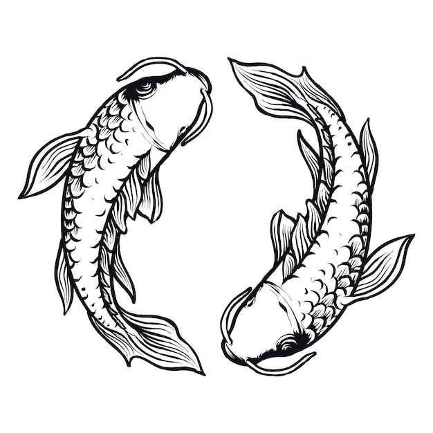 Yin yang Koi Fish illustration