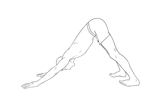 Yoga Downward Facing Dog Pose or Svanasana Man practicing yoga