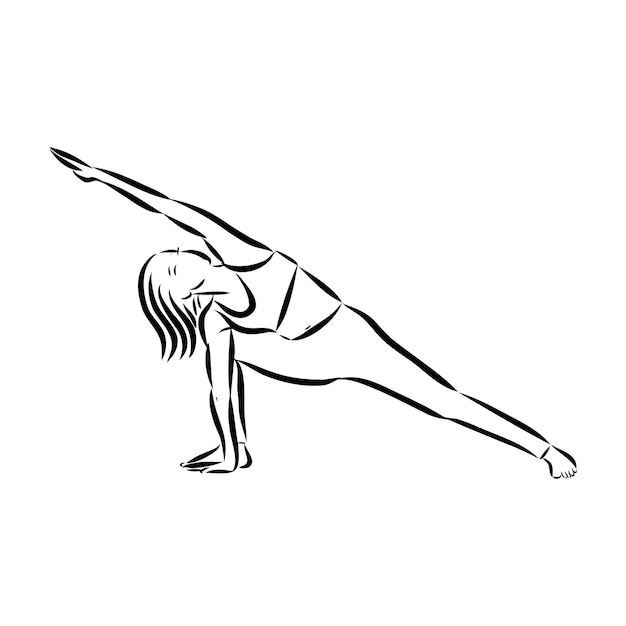 Yoga pose. Line drawing. Healthy life concept -Vector Illustration yoga pose vector sketch