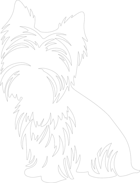 yorkshire terrier outline silhouette white background