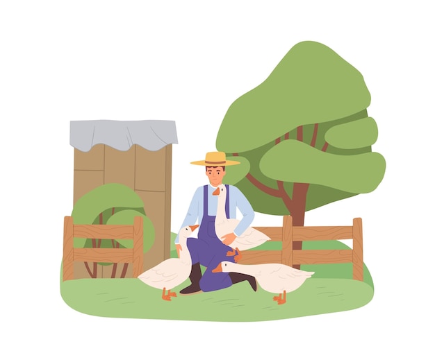 Young farmer with geese on farm. Man and domestic birds on summer yard in village. Person and poultry in countryside. Flat vector illustration isolated on white background.