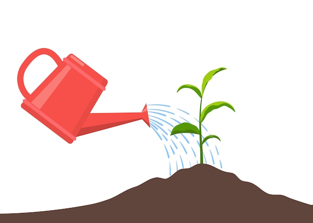 Young plant with watering can and water drops Isolated On White Vector flat illustration