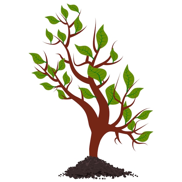 Young shoot of tree with green leaves in heap of soil isolated on white Design element