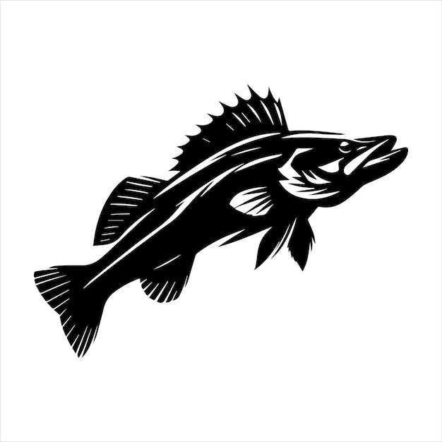 Zander Fish Vector illustration in black and white