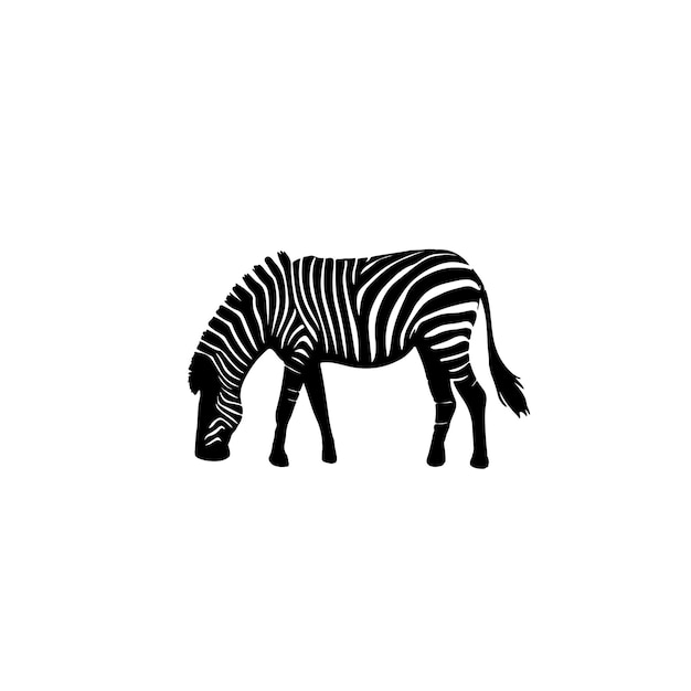 Zebra black silhouette on white background