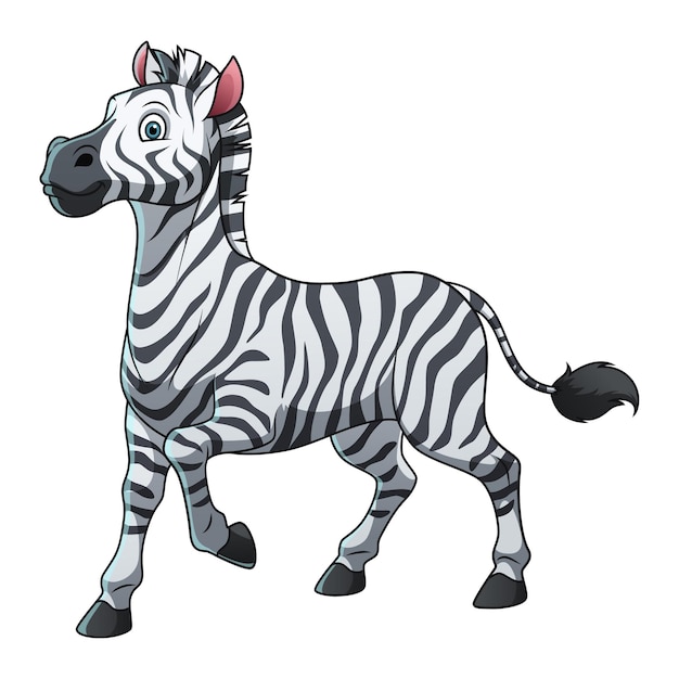 Zebra Cartoon Animal Illustration