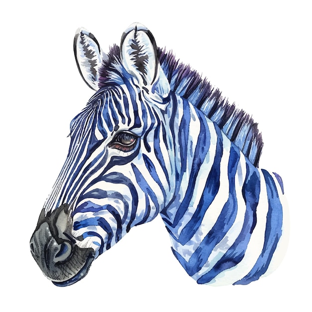 Vector zebra head vector illustration in watercolor style