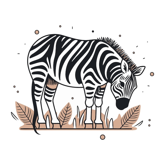 Zebra in the jungle Hand drawn vector illustration in vintage style