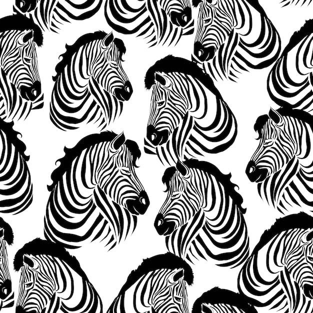 Zebra pattern, striped zebra on a white background illustration, animal.