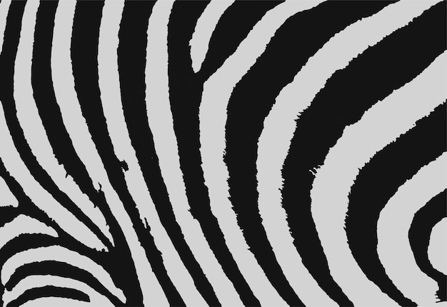 Vector zebra skin texture vector seamless pattern fabric textile design