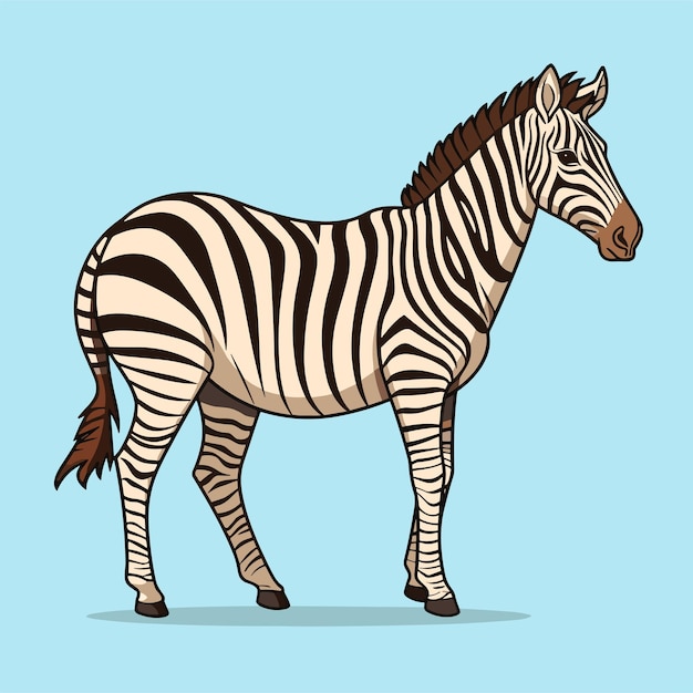 Zebra striped horse African savannah animal cartoon vector illustration