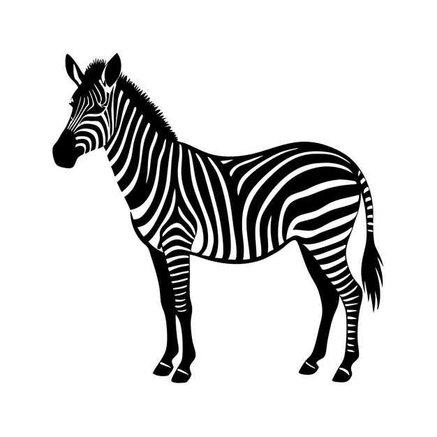 a zebra with a black and white pattern on it