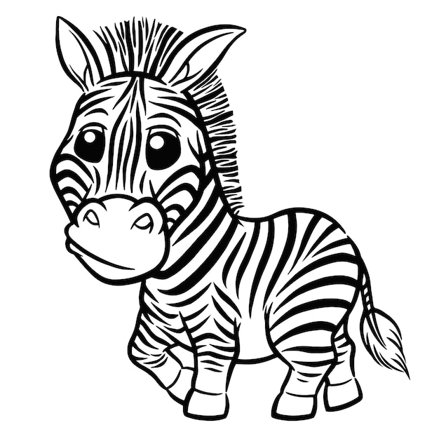 A zebra with a black and white pattern on its face is standing in front of a white background