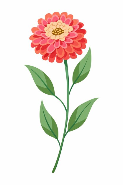 Vector zinnia plant vector