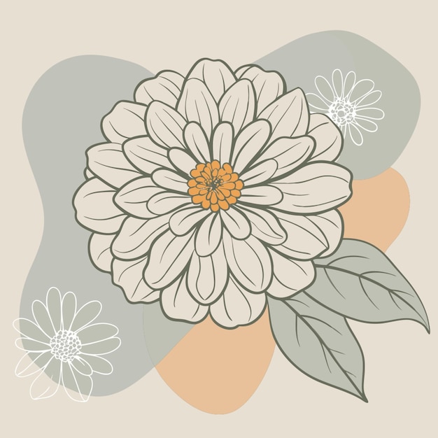 zinnia white background vector illustration line circuit