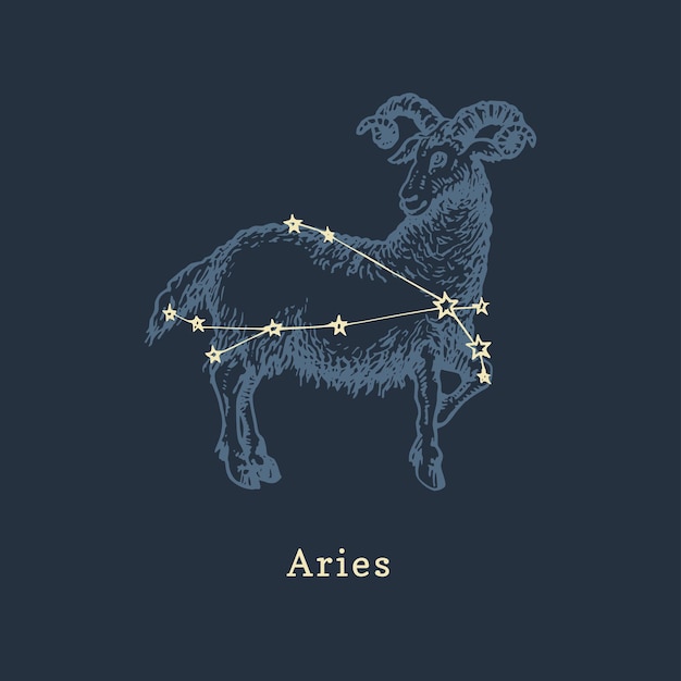 Zodiac constellation of Aries in engraving style Vector retro graphic illustration of astrological sign Ram