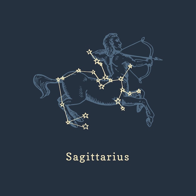 Zodiac constellation of Sagittarius in engraving style Vector retro graphic illustration of astrological sign Centaur