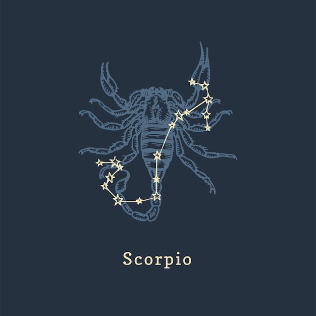 Zodiac constellation of Scorpion in engraving style Vector retro graphic illustration of astrological sign Scorpio